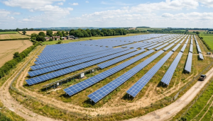 Aerial view of large ground-mounted polycrystalline solar farm with rows of blue commercial solar panels in open agricultural field